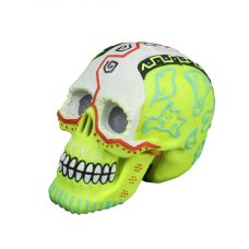 Dia de Los Muertos -  Meerkleurige Schedel 2