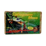 Spaghnum Moss 100gr