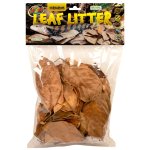 Terrarium Leaf Litter