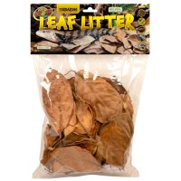 Terrarium Leaf Litter