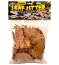 Terrarium Leaf Litter