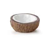 Coconut Water Dish