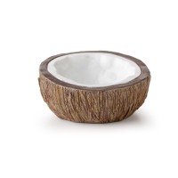 Coconut Water Dish