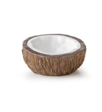 Coconut Water Dish