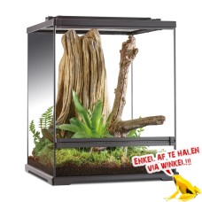 Tree Frog Terrarium 45x45x60