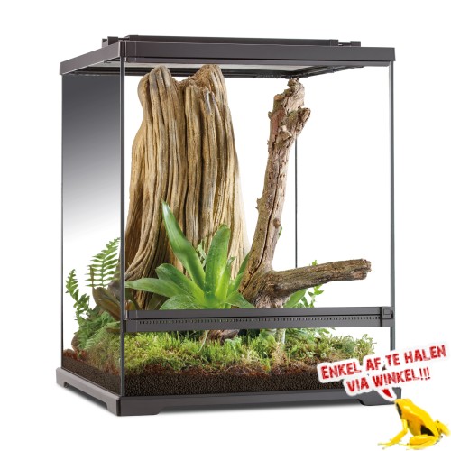 Tree Frog Terrarium 45x45x60