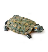 Turtle Island - Turtle