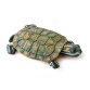 Turtle Island - Turtle
