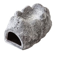Wet Rock - Small